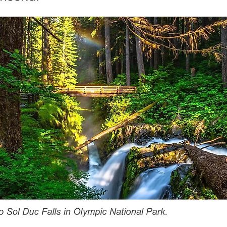 A Relaxing Getaway-A Backwoods Cabin Solduc River Beaver Екстер'єр фото