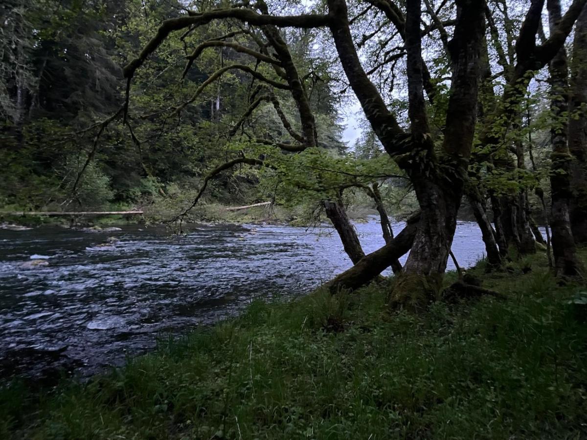 A Relaxing Getaway-A Backwoods Cabin Solduc River Beaver Екстер'єр фото