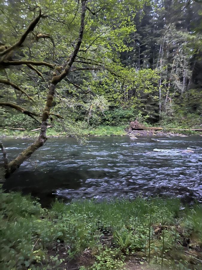 A Relaxing Getaway-A Backwoods Cabin Solduc River Beaver Екстер'єр фото